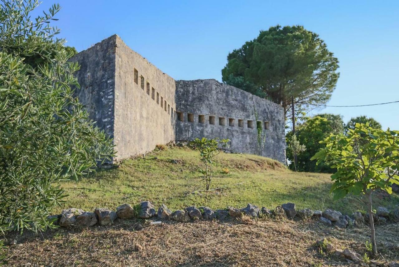 Villa Omnia - Kommeno Bay Dassia  Exterior photo